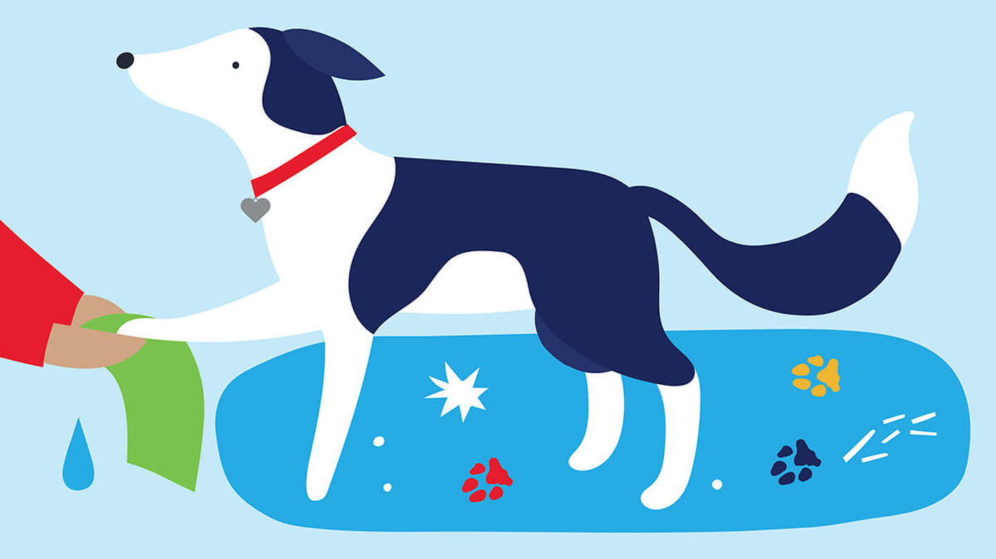 3 Steps to Keep Dogs Clean After Socially Distant Walks this Winter