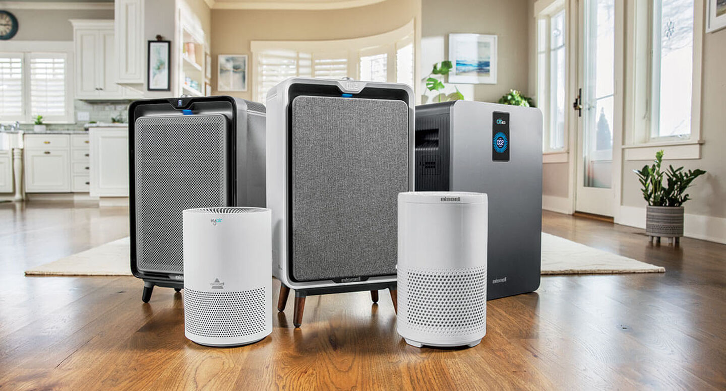 4 Reasons Your Home Needs an Indoor Air Purifier BISSELL