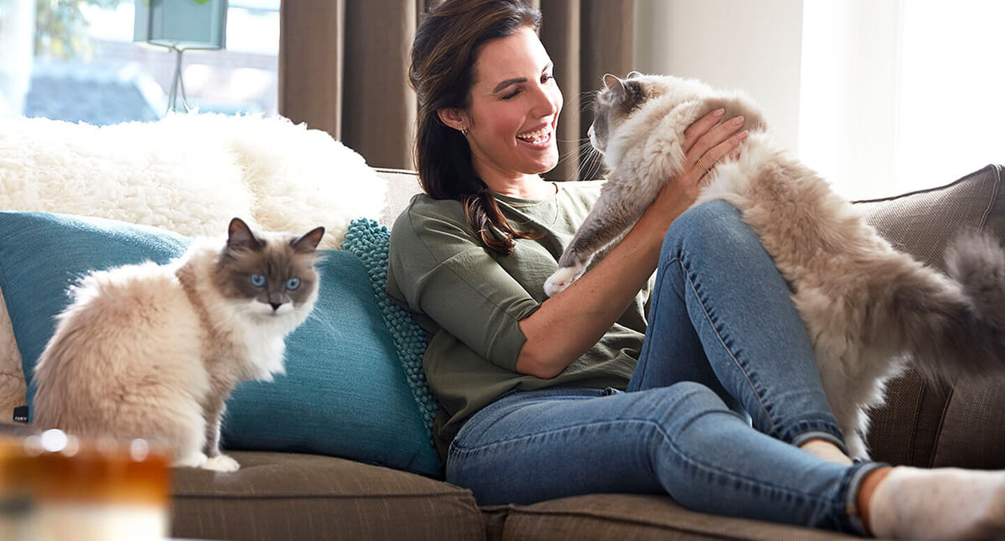 How to Get Rid of Cat Pee Smell on Your Carpets & Upholstery BISSELL