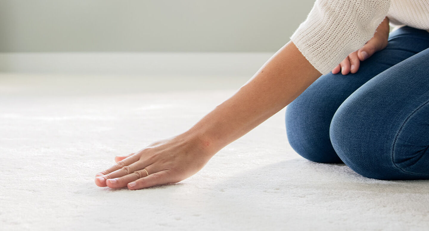 How to Get Rid of Cat Pee Smell on Your Carpets & Upholstery BISSELL