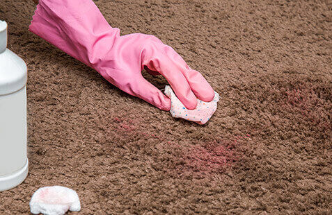shoe polish on carpet