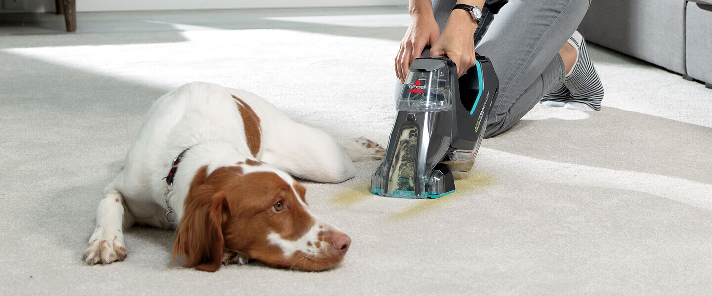 Pet Stain Eraser™ Line Portable Carpet Cleaners BISSELL®