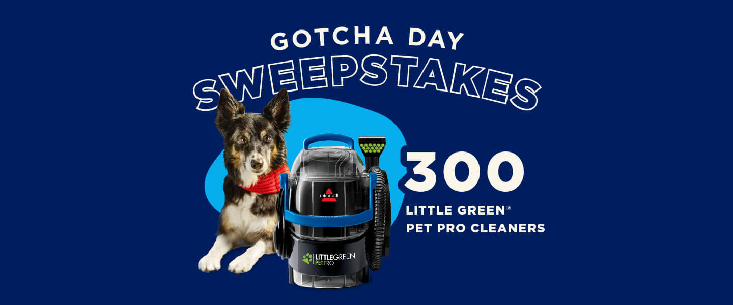 BISSELL® | Vacuum Cleaner, Carpet Cleaner, Steam Cleaner and ...