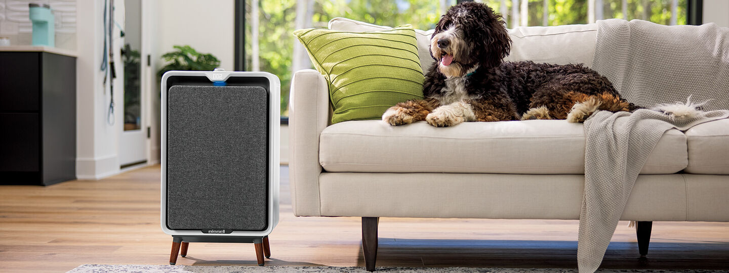 Home Air Purifier BISSELL® Air Care