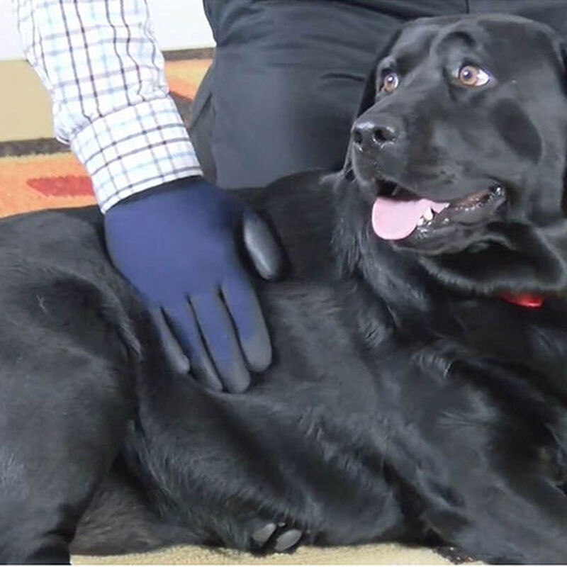 Pet_Hair_Eraser_Grooming_Gloves_DeShedding