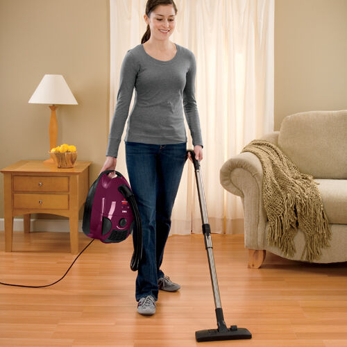 Zing® Bagged Canister Vacuum 4122 