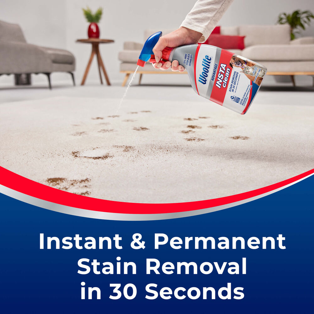 Advantage INSTAclean® Pet Stain Remover 3322 Woolite®
