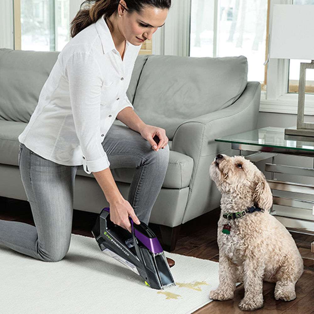 BISSELL Pet Stain Eraser 2054 Portable Carpet Cleaners