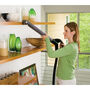 Big Green Complete Carpet Cleaner Wand Cleaning