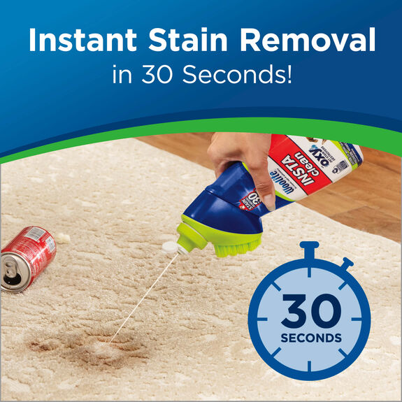 Woolite Stain Remover with Oxy Stain Destroyers, Insta Clean - 22 fl oz