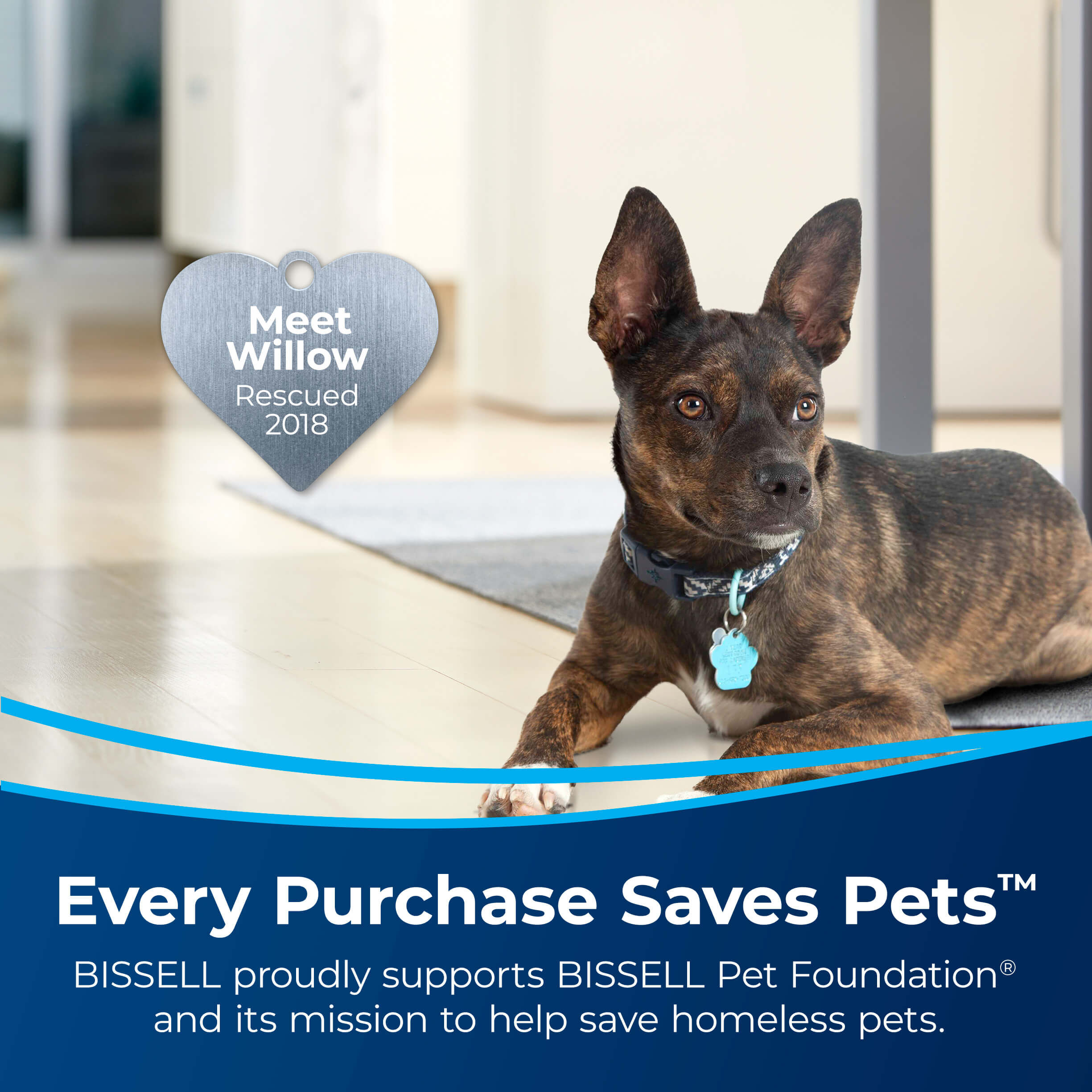 Little Green® Pet Deluxe 3353 | BISSELL® Portable Cleaner