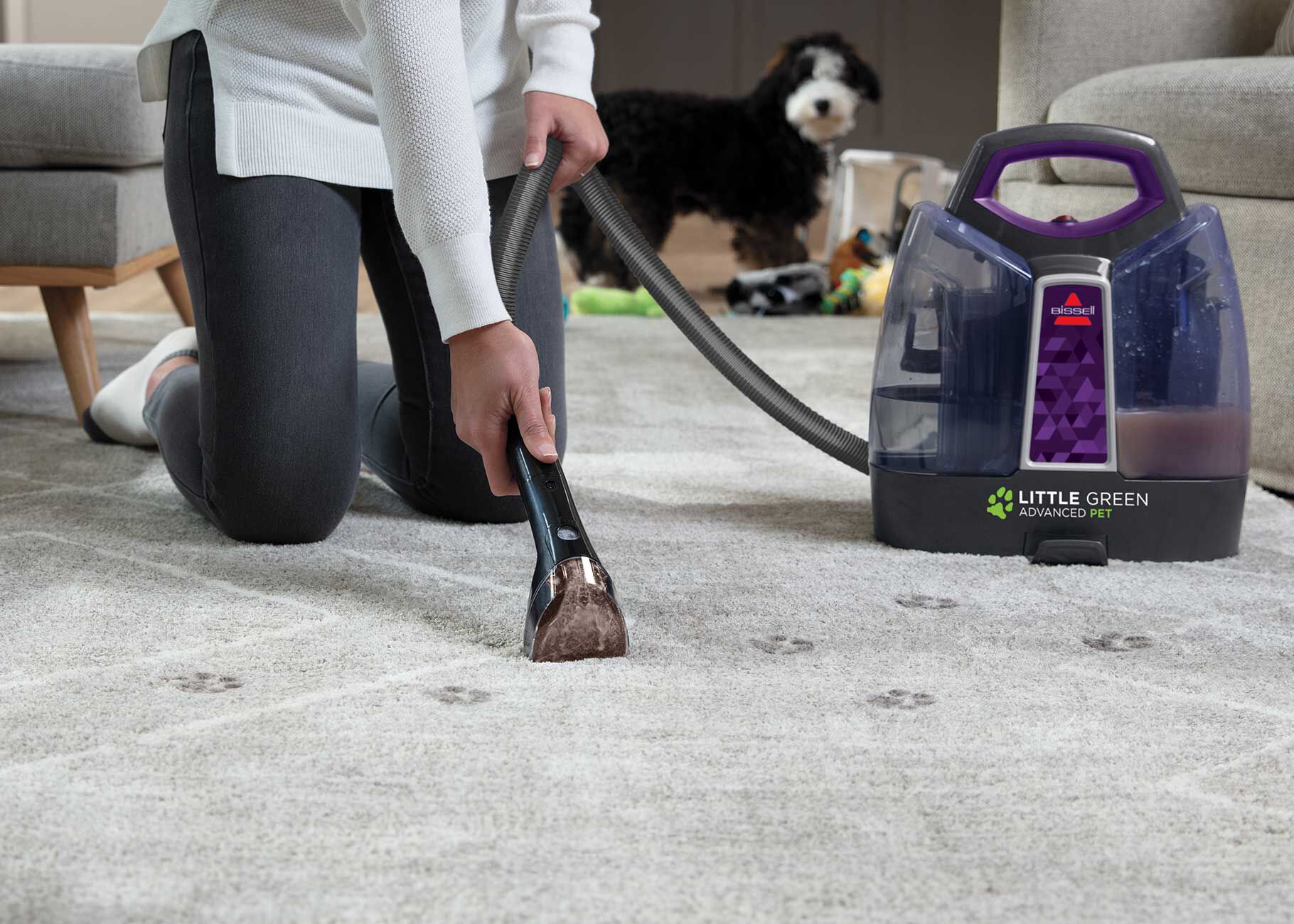 Little Green® ProHeat® Advanced Pet 2513W | BISSELL® Portable