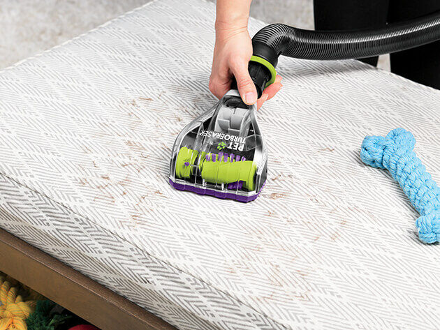 Pet Hair Eraser® Turbo Plus Specialized Pet Tools Pet Hair Eraser® Turbo Plus Using TurboEraser Tool to Vacuum Pet Bed