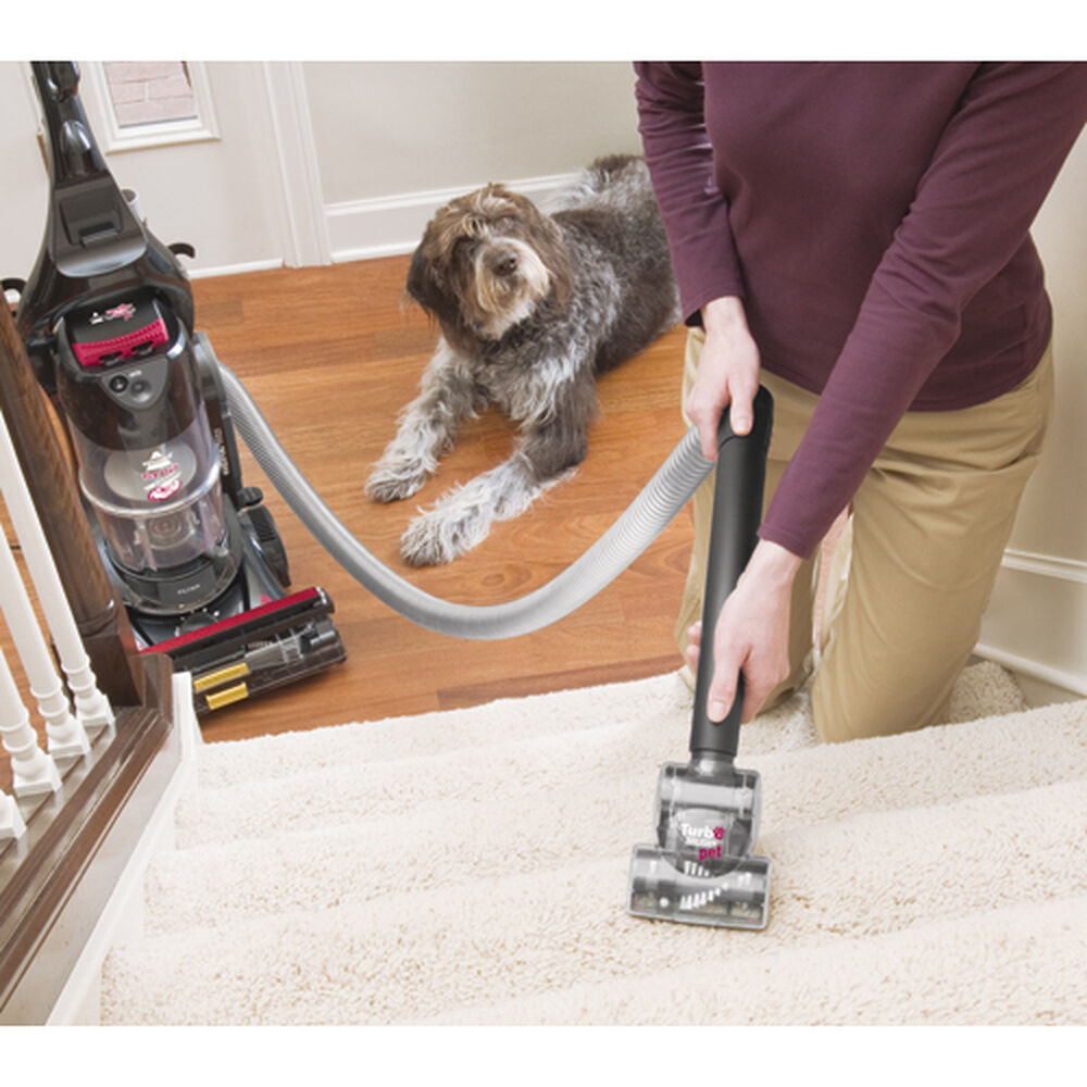 Upright Vacuum Pet Hair Eraser® 87B43 BISSELL®