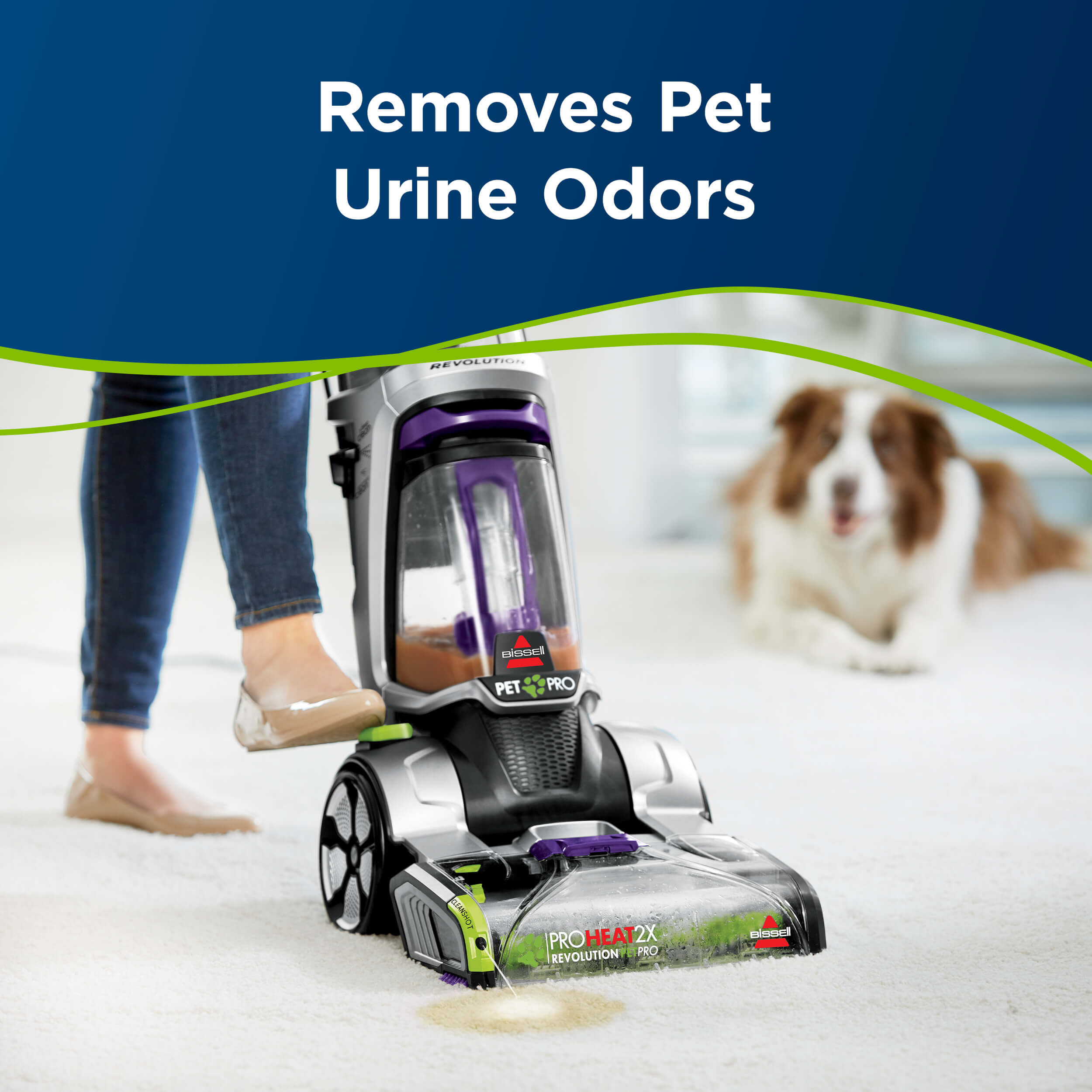 bissell dog urine cleaner