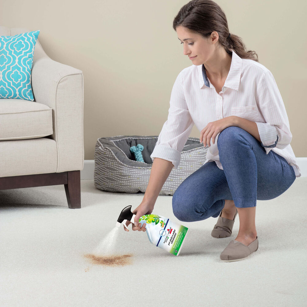 Enzyme Action Plus Pet Stain & Odor Eliminator 1931 BISSELL