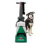 BISSELL&reg; Big Green&reg; Machine. Machine Standing Next to Dog