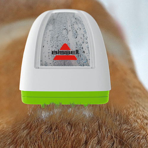 portable dog washing system