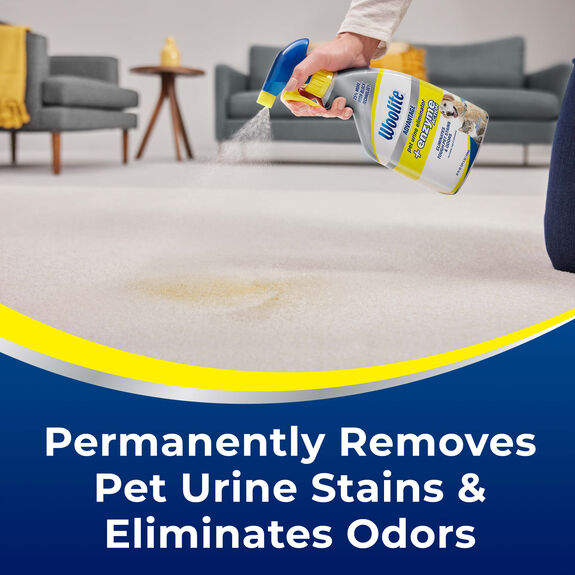 Advantage Pet Urine Eliminator Enzyme Action 3319 Woolite