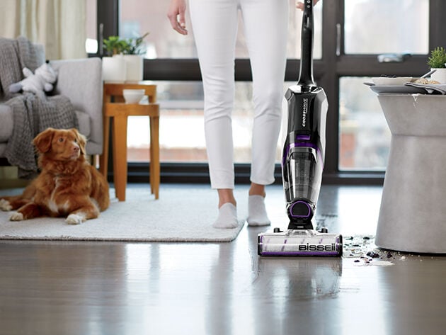  Replacements Part for BISSELL CrossWave All in One Wet Dry  Vacuum, CrossWave PET PRO and CrossWave Cordless Accessories (2  Multi-Surface Pet Brush Rolls+2 Filters) : Home & Kitchen