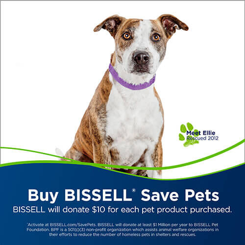 PowerEase® Swivel Rewind Pet 2253 