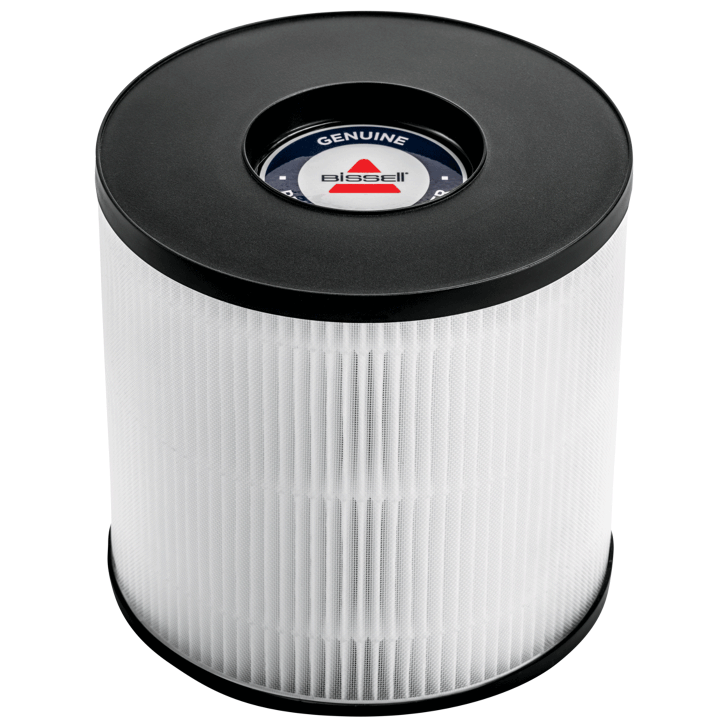Replacement HEPA and Carbon Filter 3069 