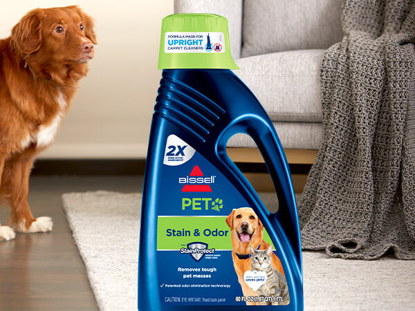 bissell power shot oxy