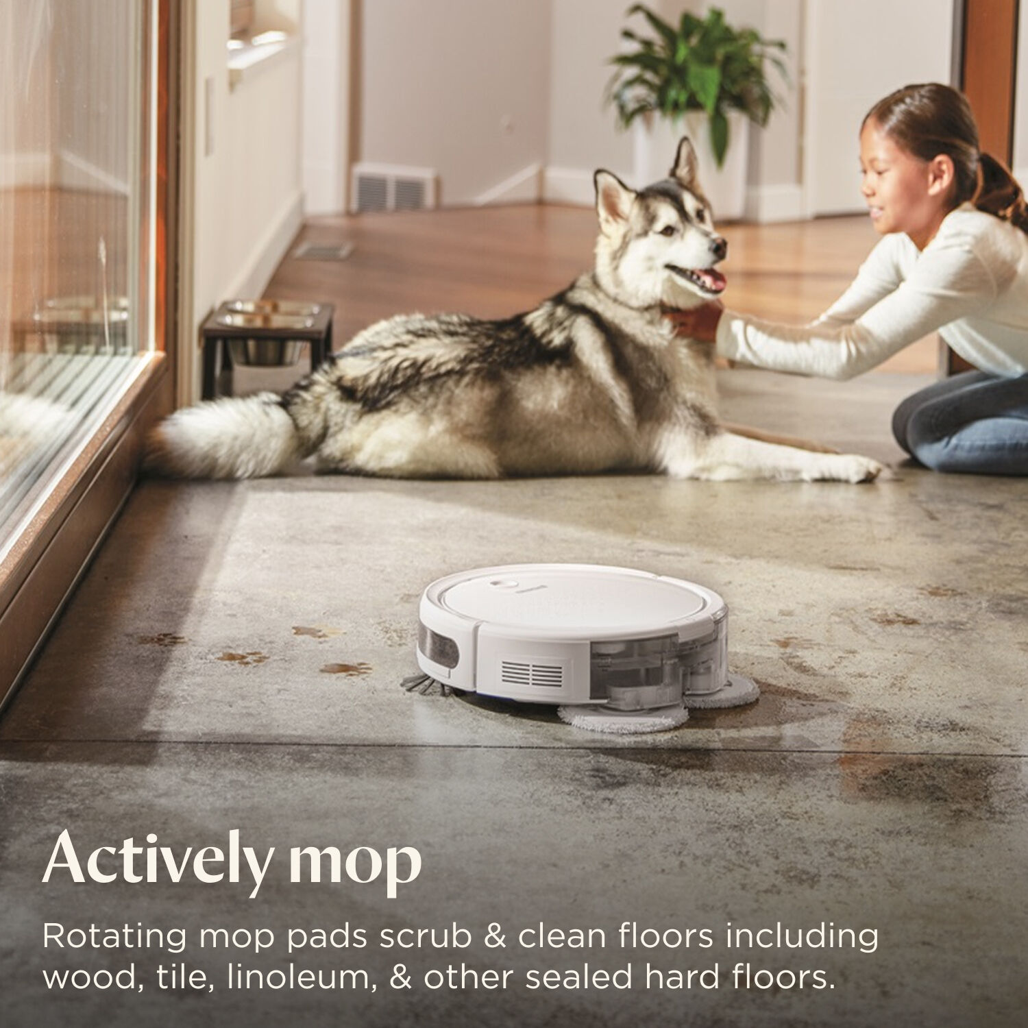 Remanufactured SpinWave® Wet and Dry Robotic Vacuum | BISSELL®