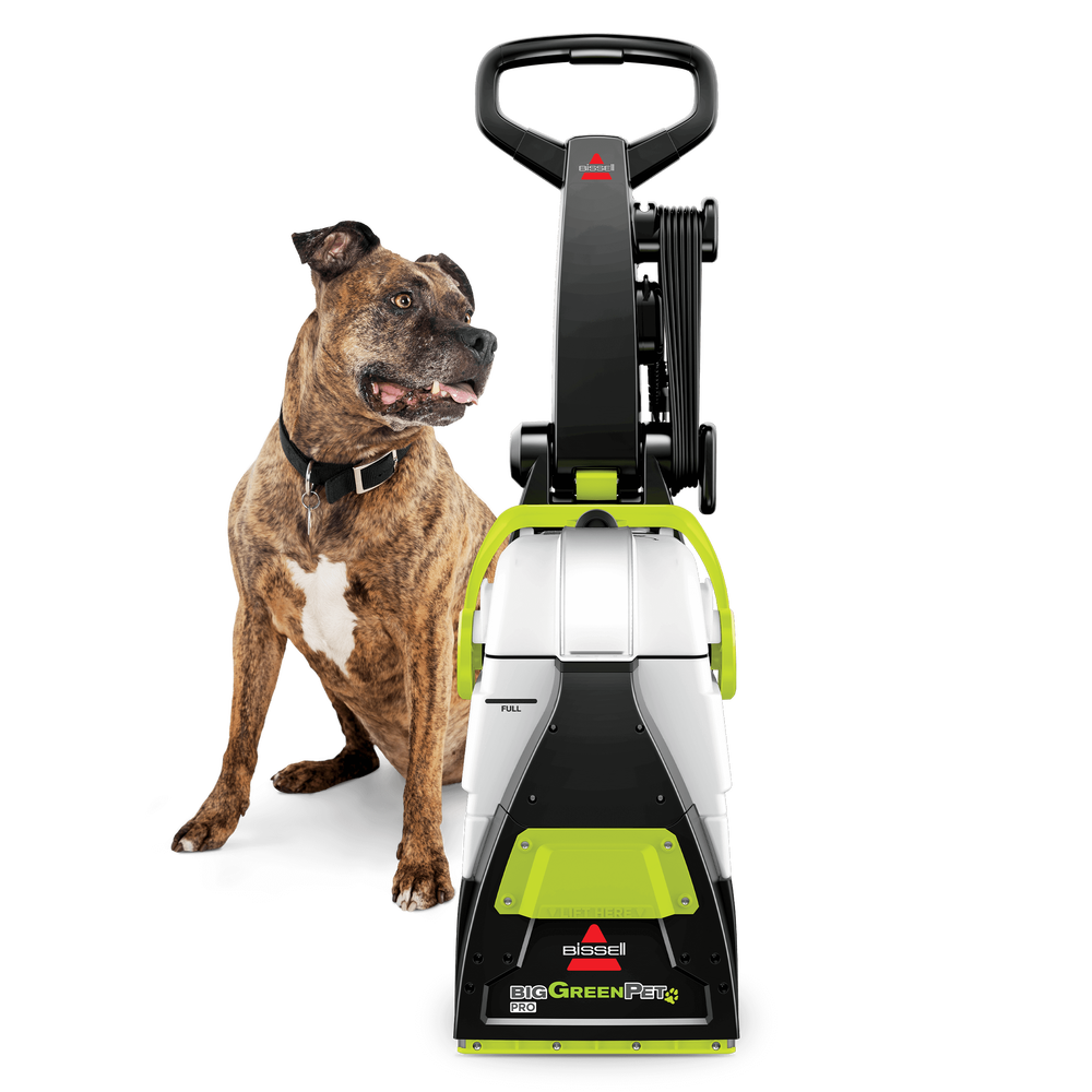 Big Green® PET PRO Carpet Cleaner 3288 BISSELL®