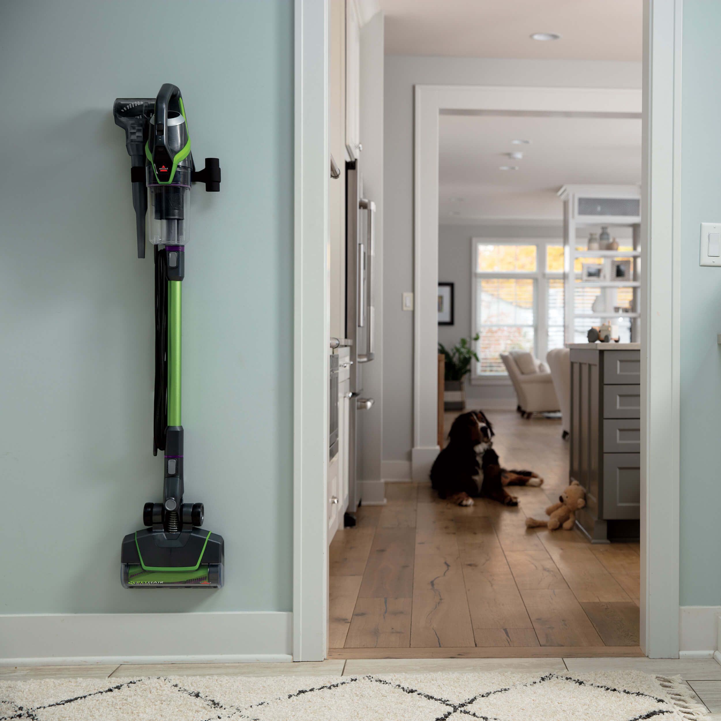 Pet Hair Eraser® Slim Corded Vacuum 