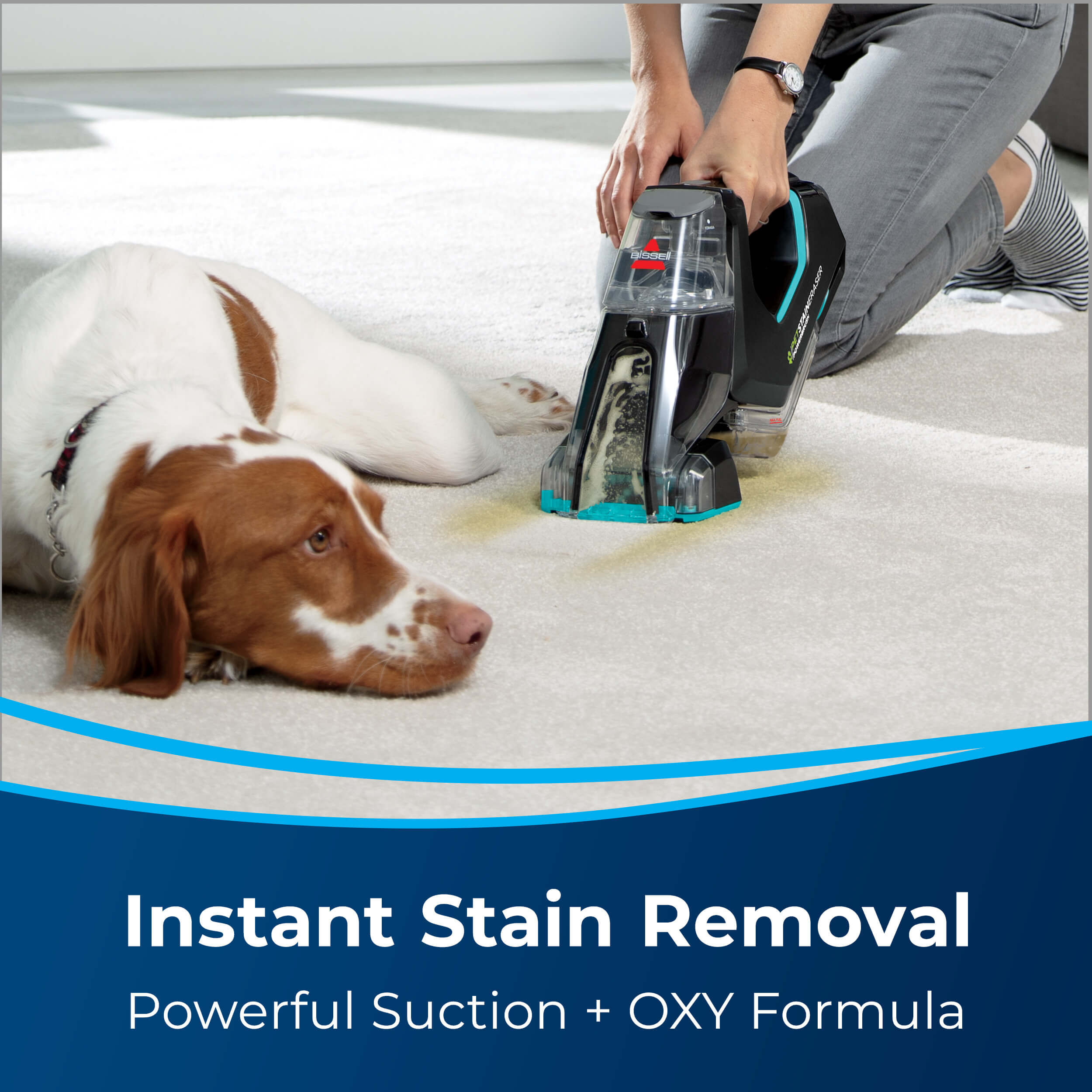 Pet Stain Eraser PowerBrush Portable 