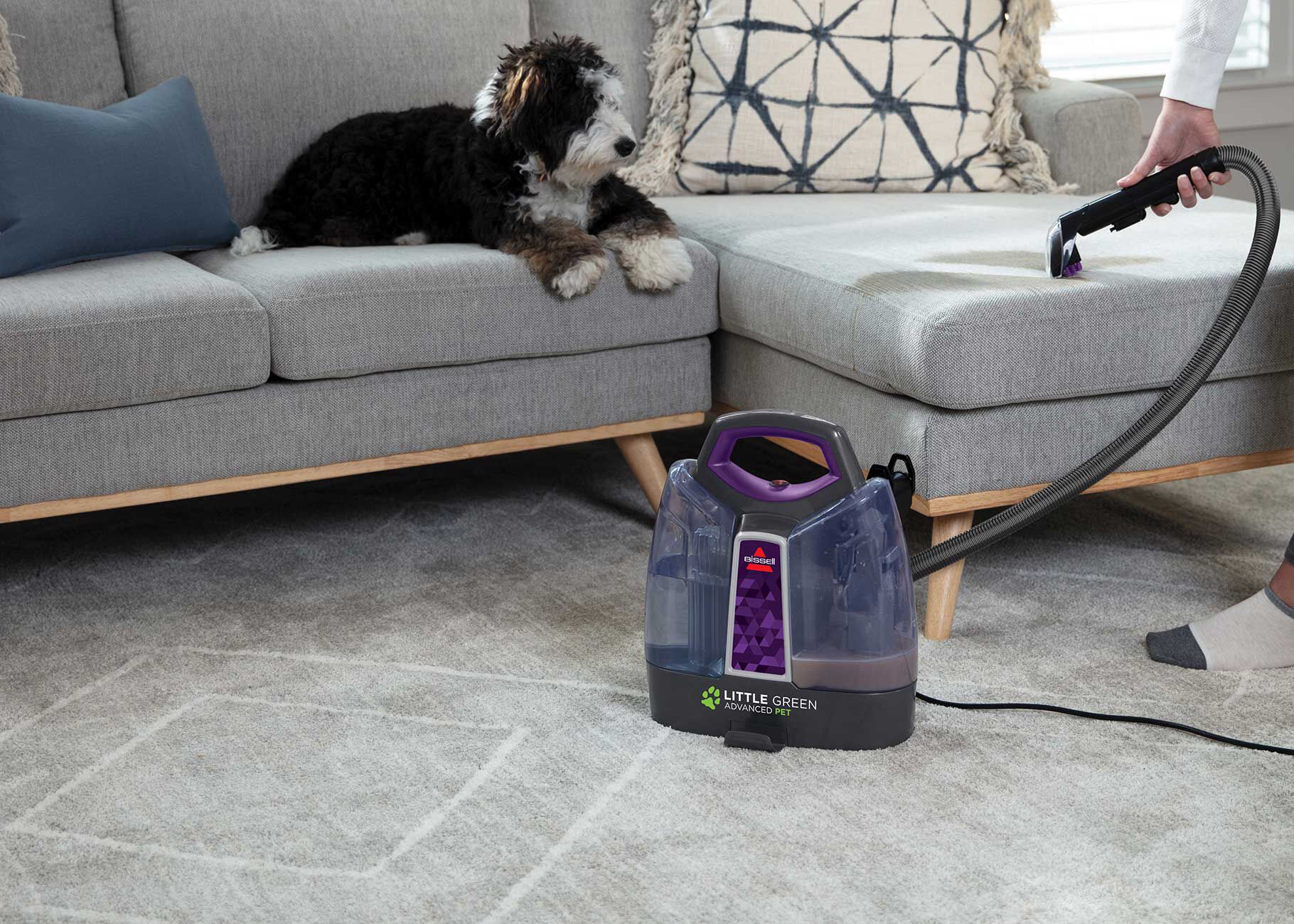 グリエル　ボブルヘッド Little Green® ProHeat® Advanced Pet 2513W | BISSELL® Portable