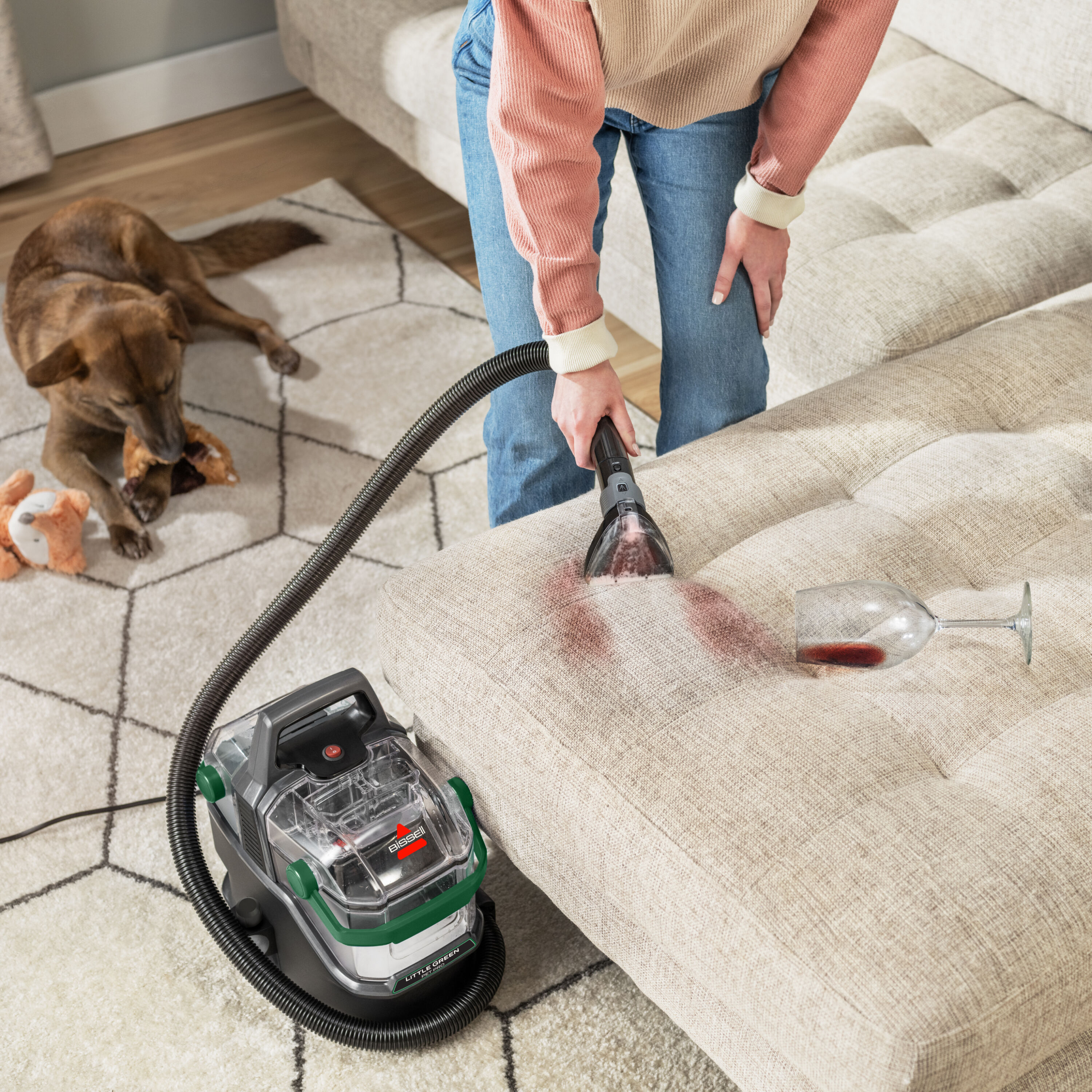 Little Green® Pro Portable Deep Cleaner