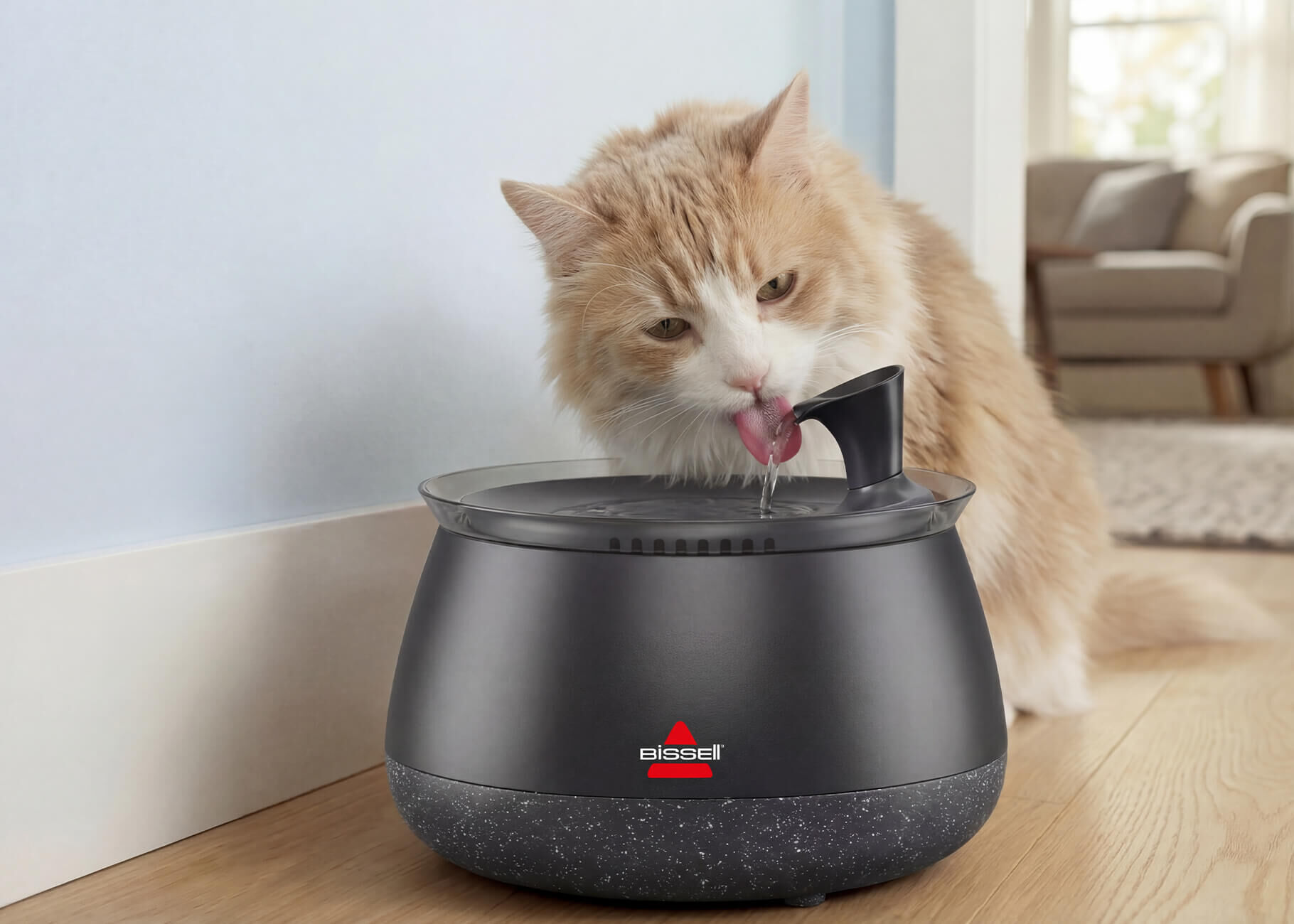 non-prescription low phosphorus wet cat food Evanger's EVX Restricted Diet: Low Phosphorus Beef Wet Cat Food
