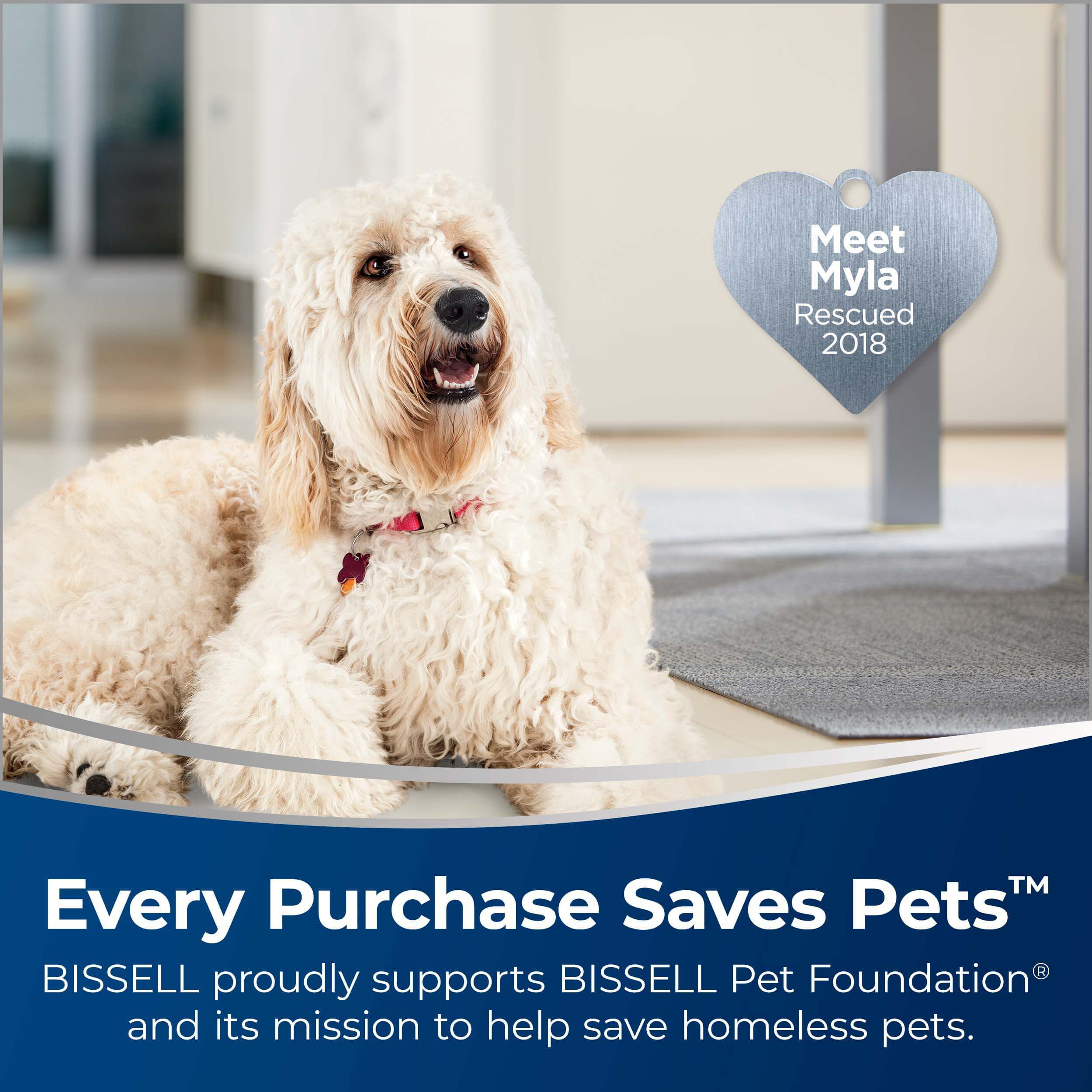 CrossWave® X7 Cordless Pet Pro 3276A | BISSELL® Wet Dry Vac