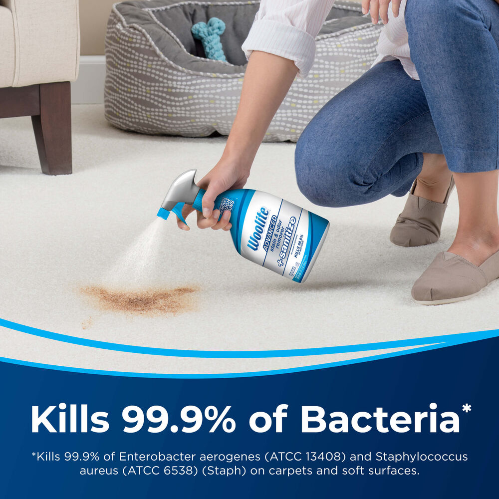 Advanced Stain & Odor Remover + Sanitize Woolite® Cleaner