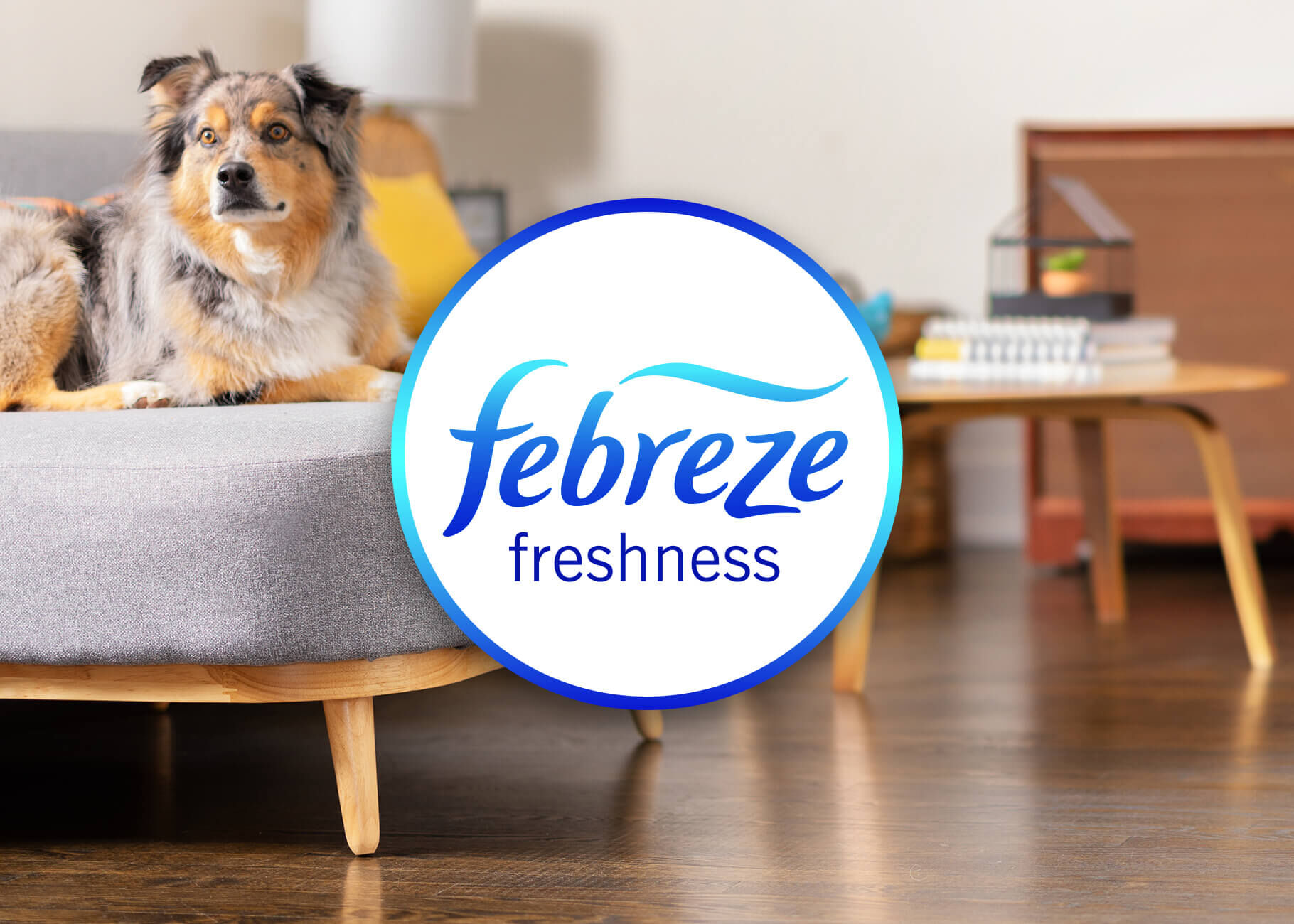 PET Multi-Surface with Febreze Formula (64 oz.)