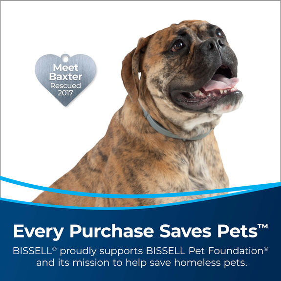 PowerLifter™ Swivel Pet LiftOff® Pet 2920 BISSELL Vacuums