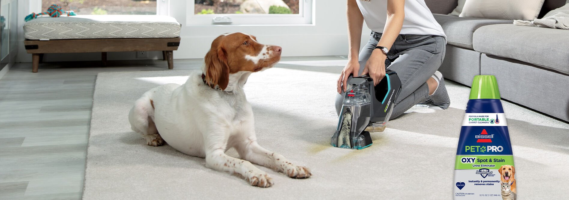 REVIEW BISSELL Spot Clean ProHeat Pet Portable Carpet Cleaner 2513W 