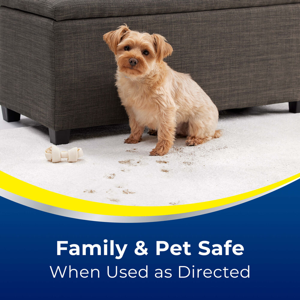 Advantage Pet Urine Eliminator Enzyme Action 3319 Woolite