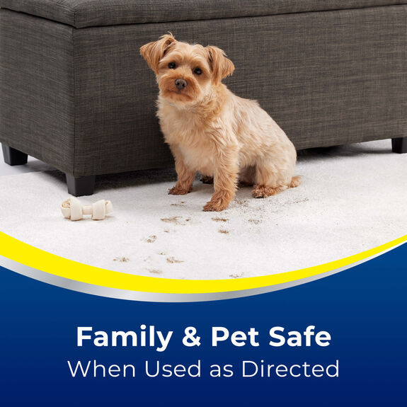 Advantage Pet Urine Eliminator Enzyme Action 3319 Woolite