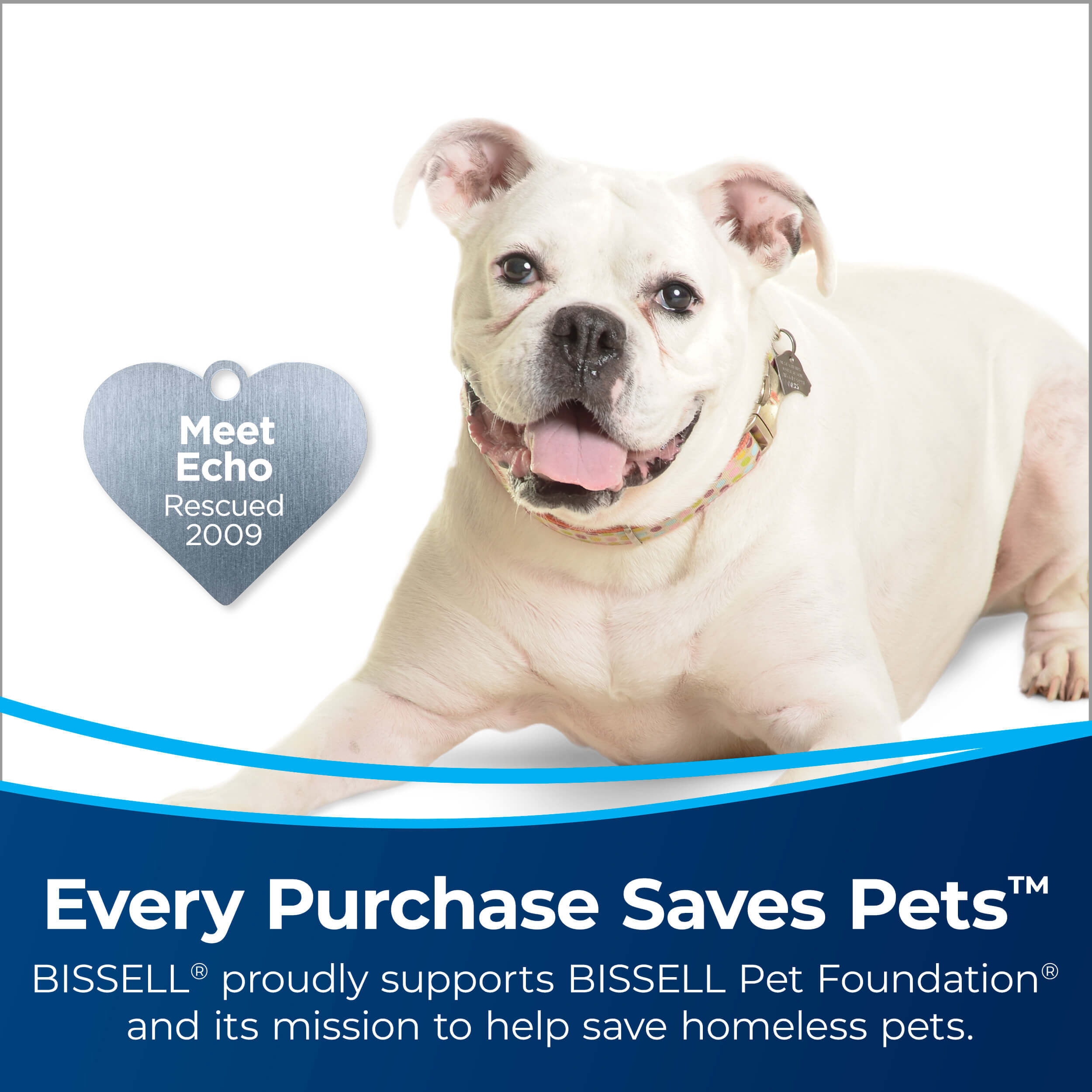 BISSELL® ProHeat 2x® Revolution® Pet 