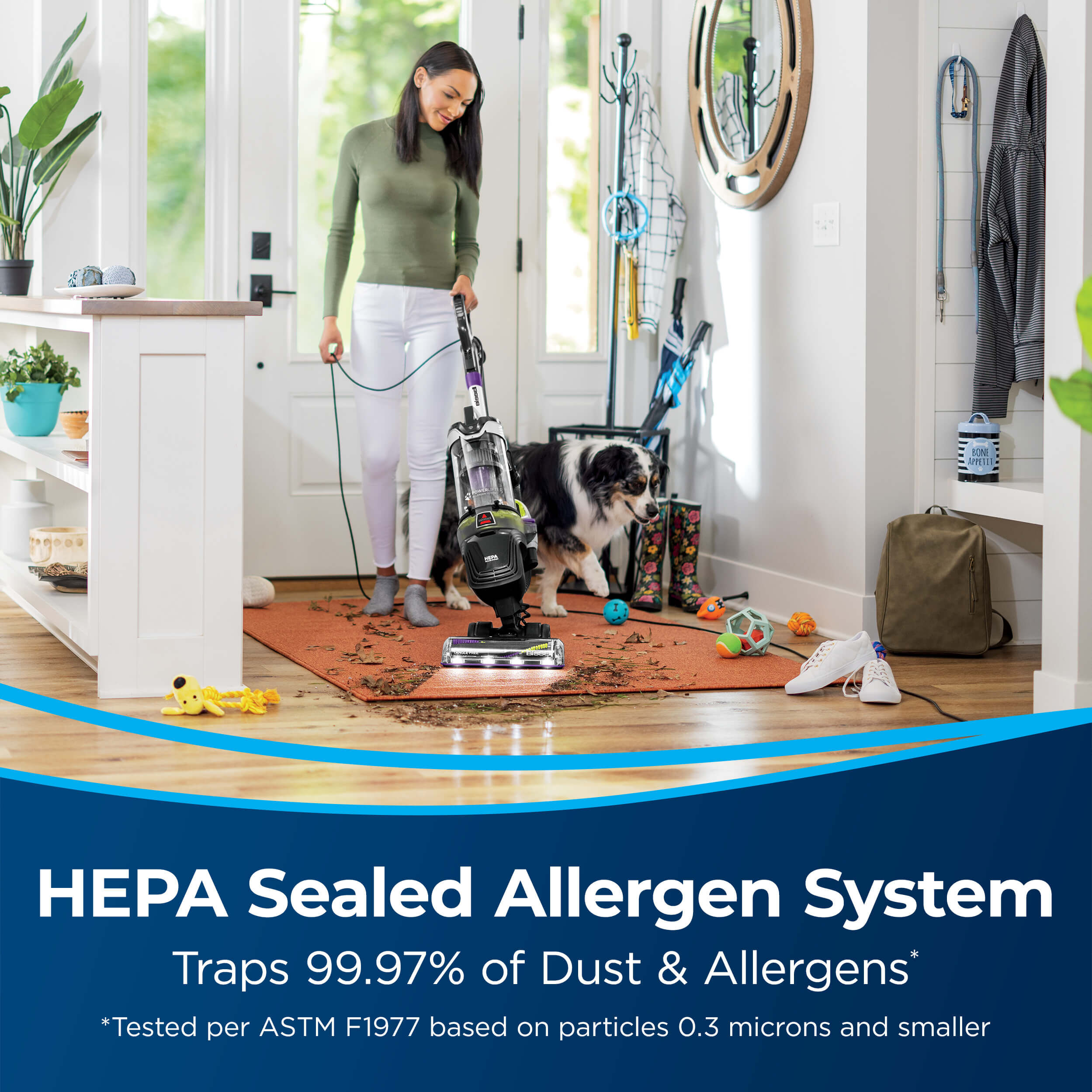 PowerLifter™ Allergen Pet Rewind 3404 | BISSELL® Vacuums