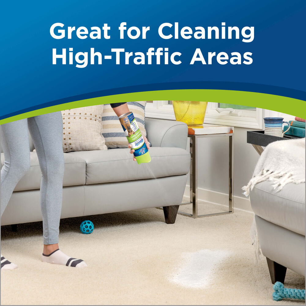 Woolite Heavy Traffic Foam Carpet Cleaner 08209 Bis