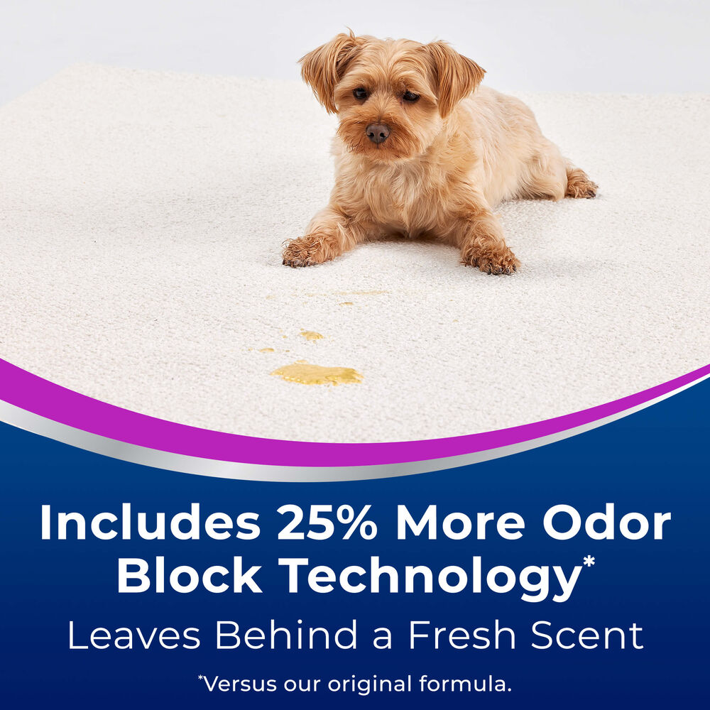 Woolite® Advantage Pet Stain & Odor Remover + Oxy Formula