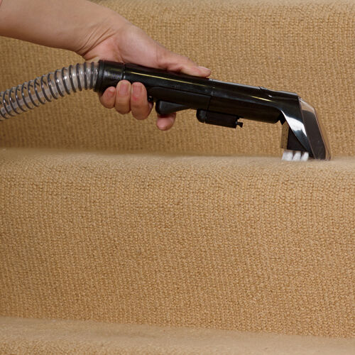 DeepClean Deluxe™ Pet Carpet Cleaner 36Z98 | BISSELL®