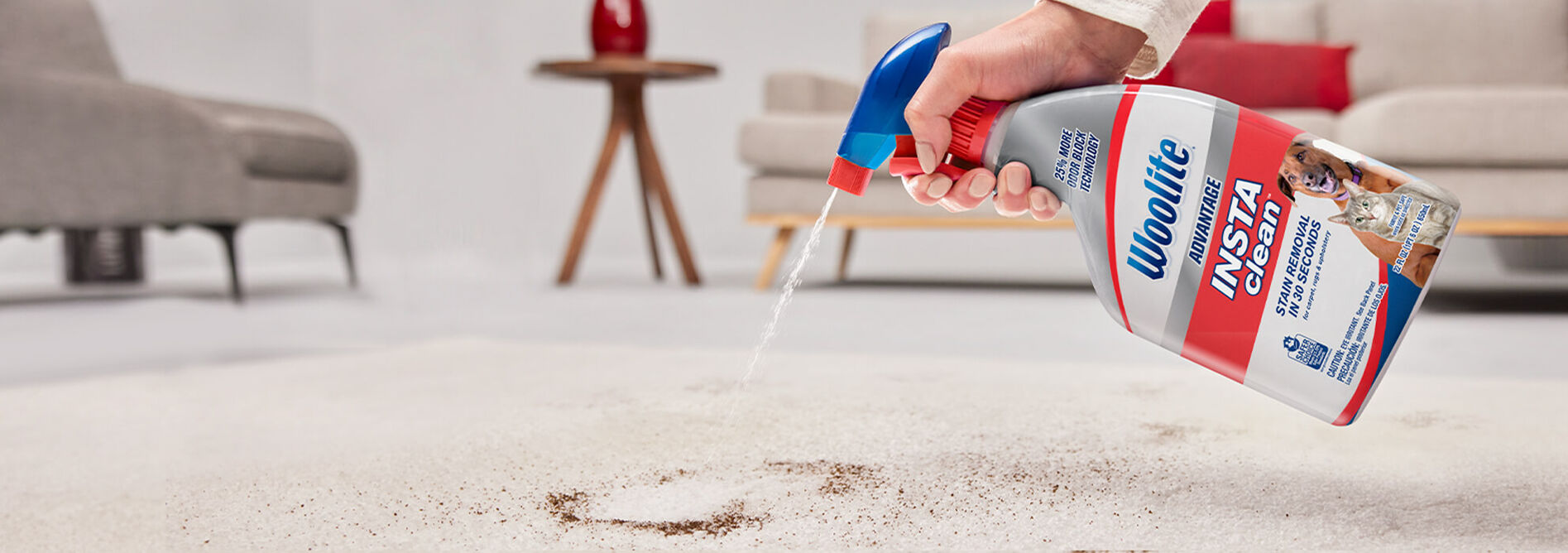 Advantage INSTAclean® Pet Stain Remover 3322 Woolite®