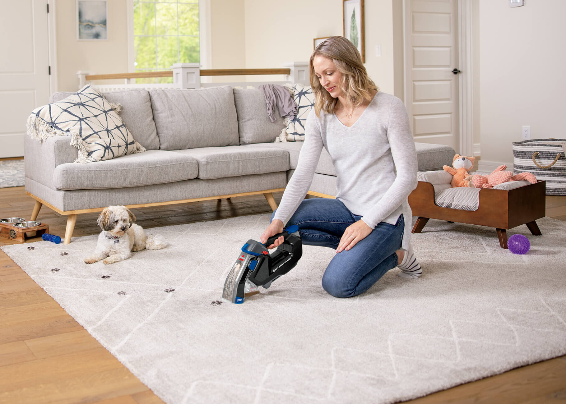 Pet Stain Eraser™ Plus Pet Carpet Cleaner 3181 | BISSELL®