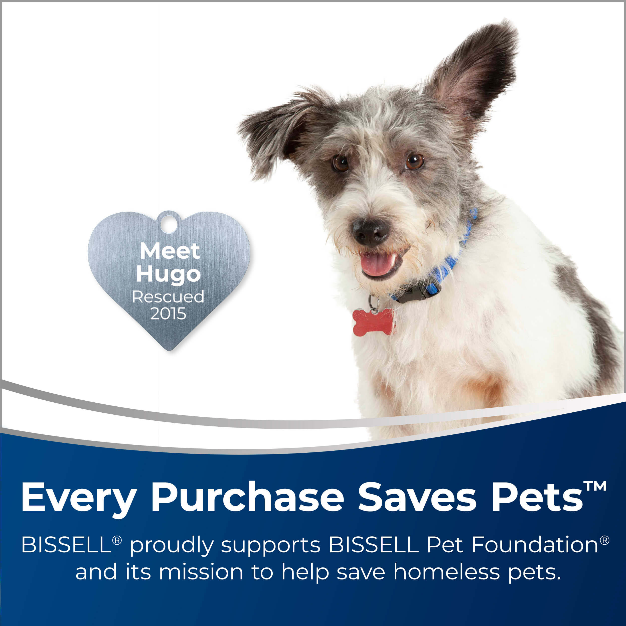 petsmart carpet cleaner