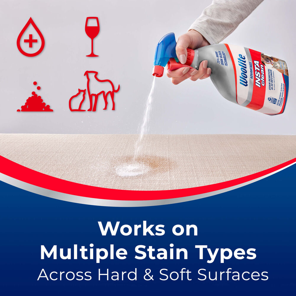 Advantage INSTAclean® Pet Stain Remover 3322 Woolite®